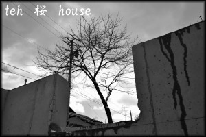 the　桜　house3