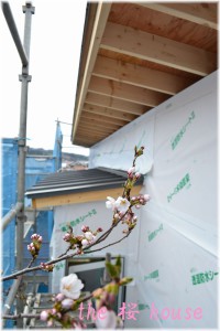 桜house