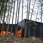 竹林の家
